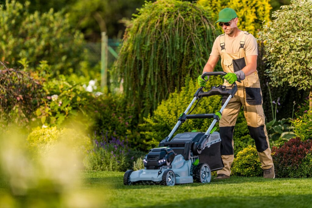 How to care for your lawn