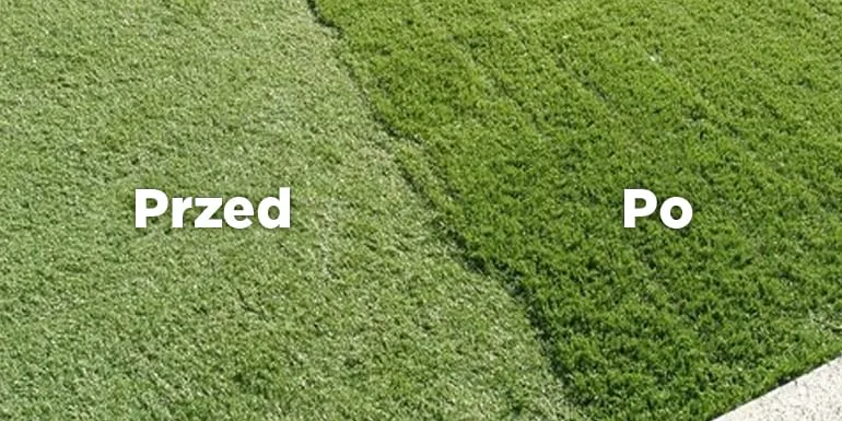 boisko syntetyczne po zabiegach