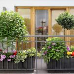 Donice z kwiatami na tarasie