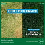 Efekt nawożenia nawozem wczesnowiosennym do trawy Mr. Green Grass