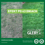 Efekt wdrożenia zaleceń badania gleby