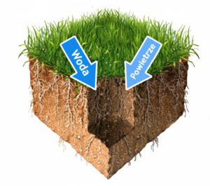 Napowietrzanie trawnika