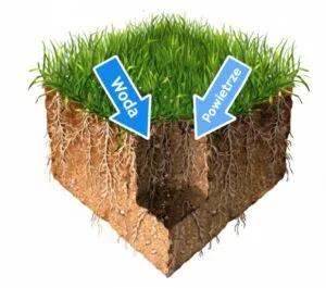 Napowietrzanie trawnika