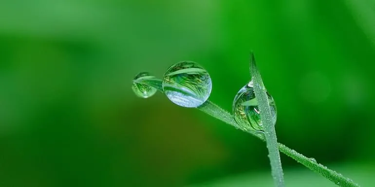 nawadnianie trawnika