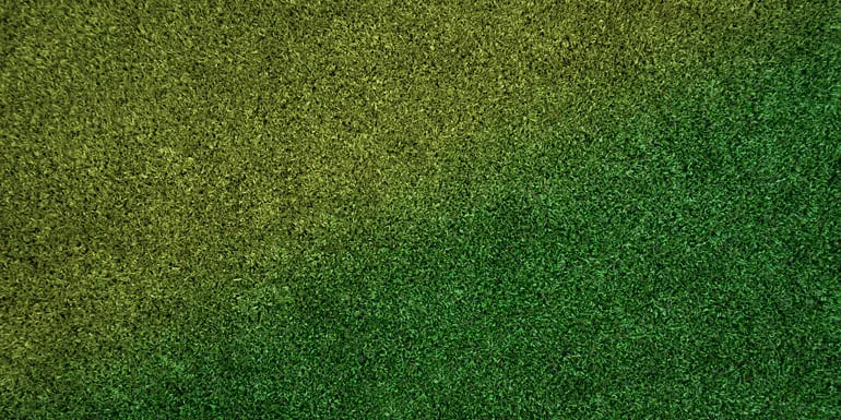 sposób na przesuszony trawnik