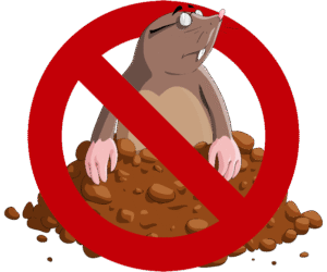 jak pozbyć się kreta